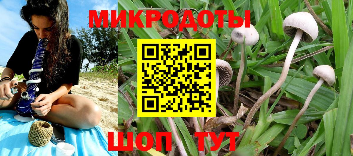 Псилоцибиновые грибы Psilocybe  купить наркоту  Барнаул  Галлюциногенные грибы мухоморы  Вход с VPN 