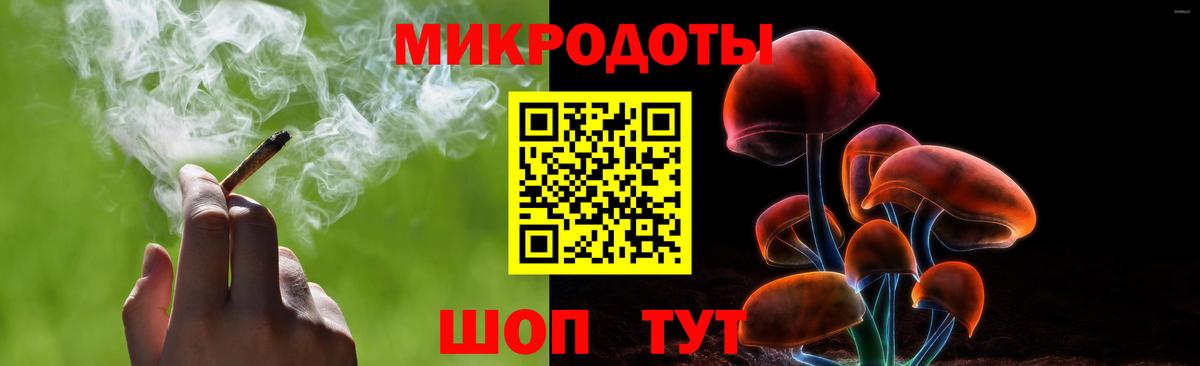 Псилоцибиновые грибы Psilocybine cubensis Барнаул